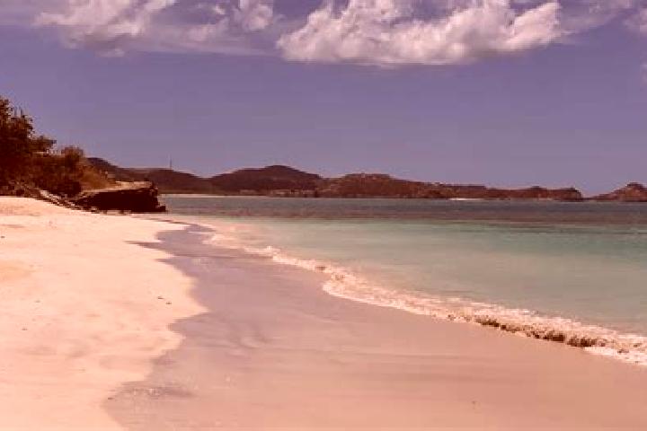 Sienna, 23 — Escort in Urlings, Antigua and Barbuda