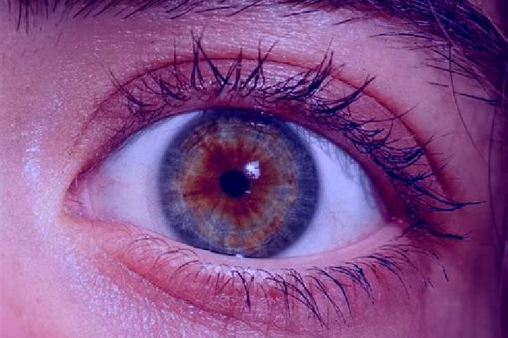 Sienna, 26, a red hazel-eyed indian companion based in La Roche. Offering Duos, BDSM, 69, Prostate Massage. Available for incall and outcall, day and evening...
