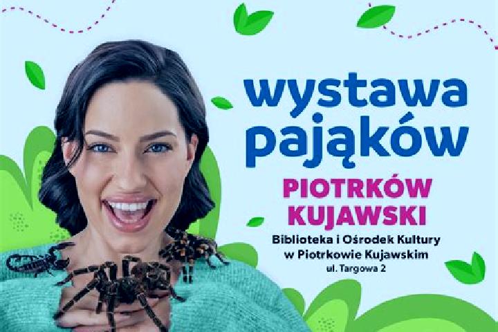 Sienna, 27 — Escort in Piotrkow Kujawski, Poland