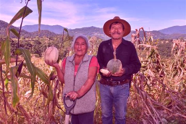 Sienna, 32 — Escort in Paso de la Milpa, Mexico