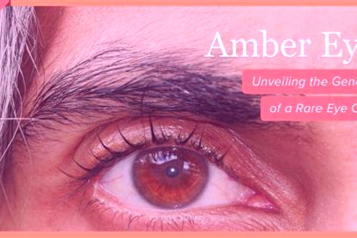 Sienna, 34, a red amber-eyed asian companion based in Sigmaringendorf. Offering Domination, Couples, Girlfriend Experience, Overnight. Available for incall a...