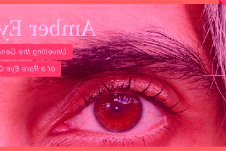 Sienna, 35, a red amber-eyed asian companion based in Irvine Health and Science Complex. Offering Couples, Prostate Massage, OWO. Available for incall and ou...