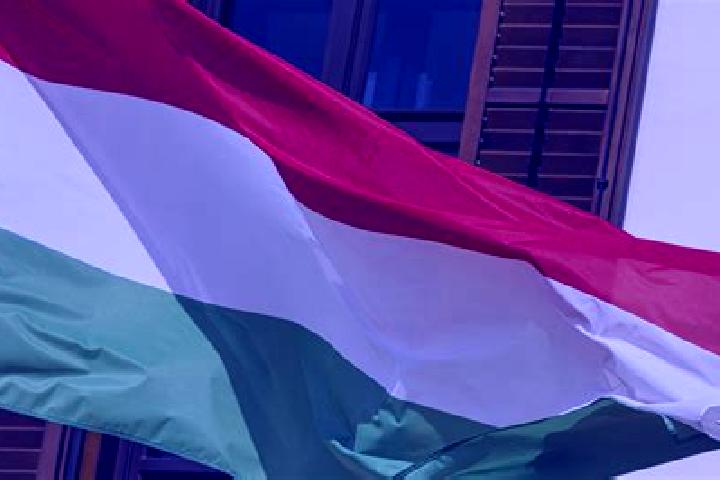 Sienna, 36, a red green-eyed european companion based in Pankrushikha. Offering Deep French Kissing, BDSM, Duos, 69. Available for incall and outcall, overni...