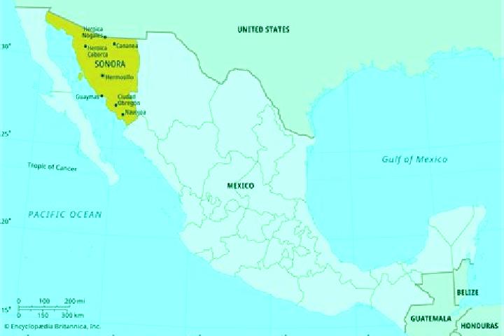 Sienna, 36 — Escort in Las Norias (Norias), Mexico