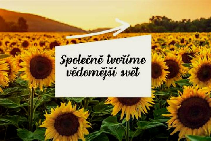 Sienna, 36 — Escort in Mnichovice, Czech Republic