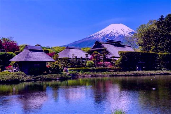 Sienna, 37 — Escort in Oshino, Japan