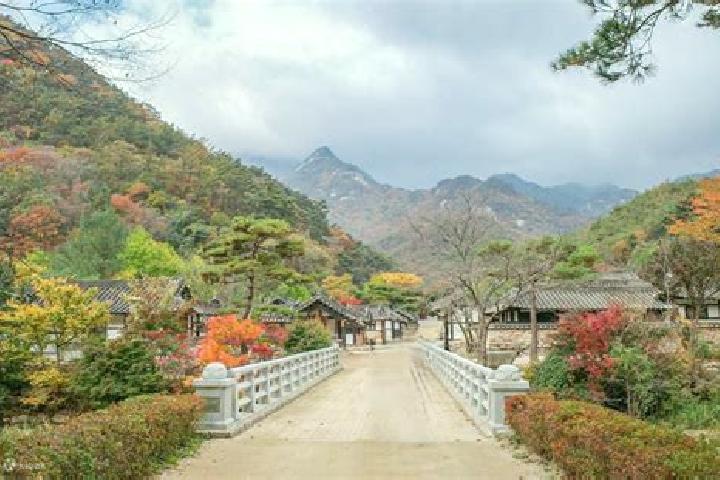 Sienna, 38 — Escort in Mungyeong, South Korea