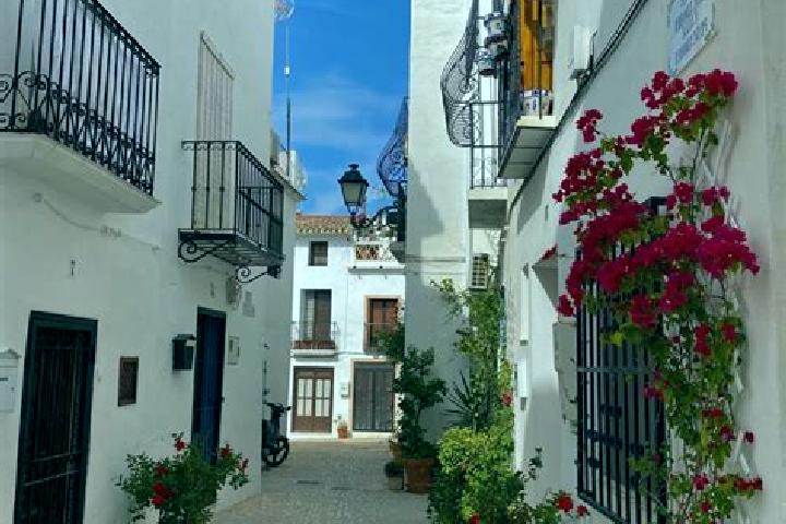 Sienna, 38 — Escort in Tauste, Spain