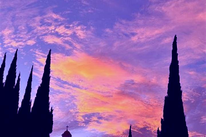 Sienna, 38 — Escort in Tepeyanco, Mexico