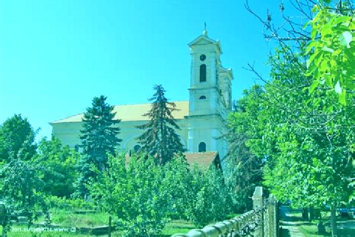 Sienna, 39 — Escort in Novo Milosevo, Serbia