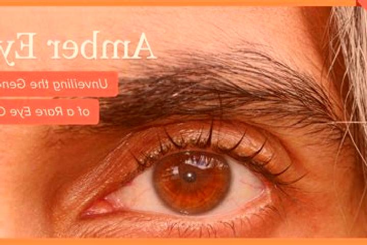 Sofia, 20, a red amber-eyed ebony companion based in Palanzano. Offering Deep French Kissing, CIM, Fetish, Overnight. Available for incall and outcall, overn...