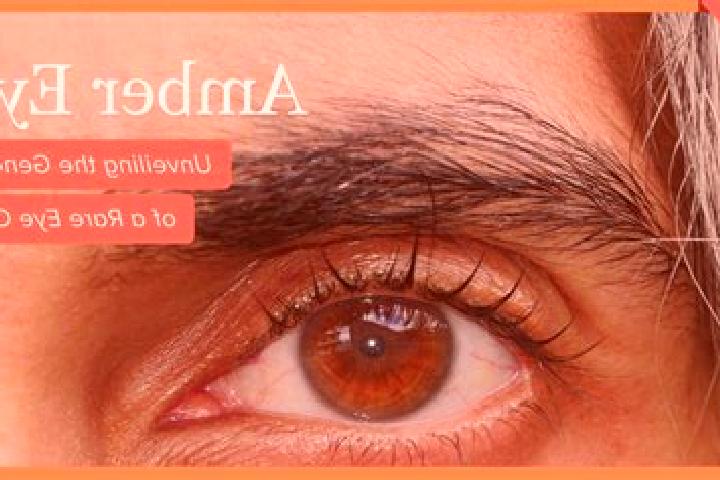 Sofia, 20, a red amber-eyed slavic companion based in Eckelrade. Offering A-Level, 69, Fetish. Available for incall and outcall, overnight bookings available.