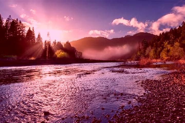 Sofia, 20 — Escort in Eel River Crossing, Canada