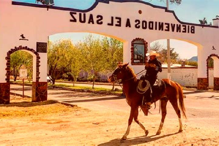 Sofia, 20 — Escort in Sauz de Calera, Mexico