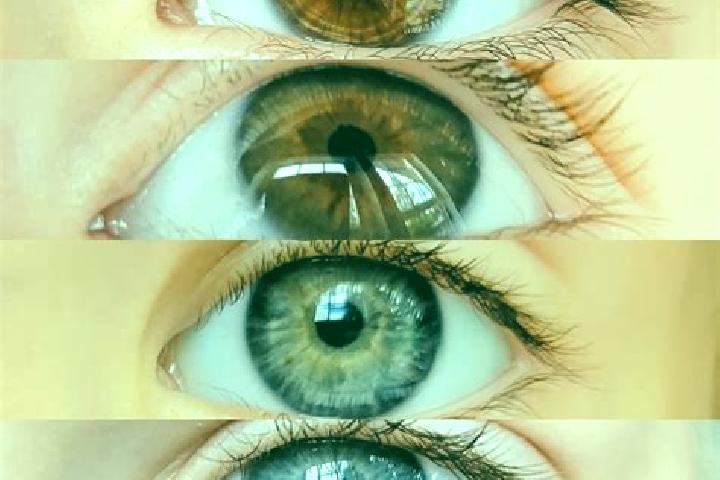 Sofia, 21, a chestnut grey-eyed mixed companion based in Nicolau Vergueiro. Offering GFE, OWO, Erotic Massage, CIM, Overnight. Available for incall and outca...