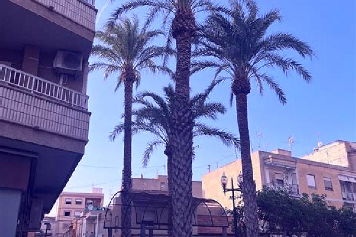 Sofia, 21 — Escort in Albatera, Spain