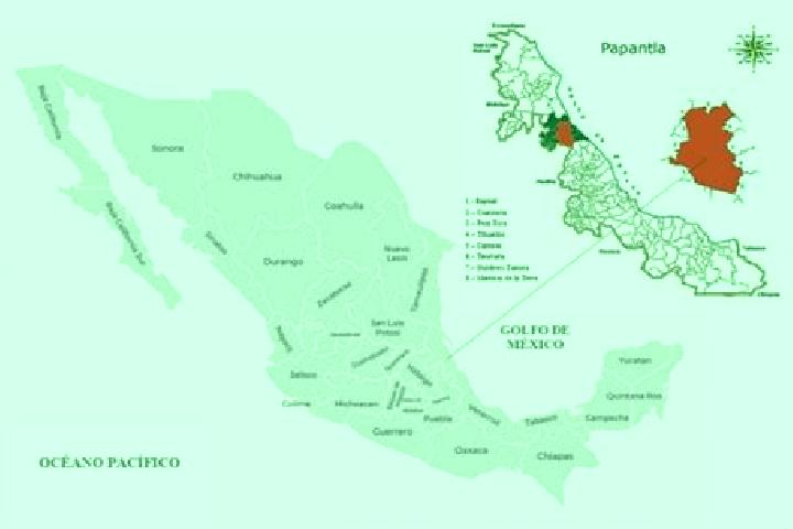 Sofia, 21 — Escort in Papantla de Olarte, Mexico