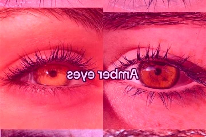Sofia, 23, a chestnut amber-eyed indian companion based in Bannu. Offering OWO, Massage, Dinner Date. Available for incall and outcall, overnight bookings av...
