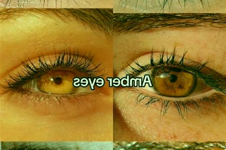 Sofia, 23, a chestnut amber-eyed mixed companion based in Soederfors. Offering Prostate Massage, GFE, 69, Massage. Available for incall and outcall, day and ...