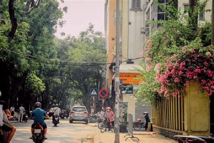 Sofia, 23 — Escort in Nghi Xuan, Vietnam