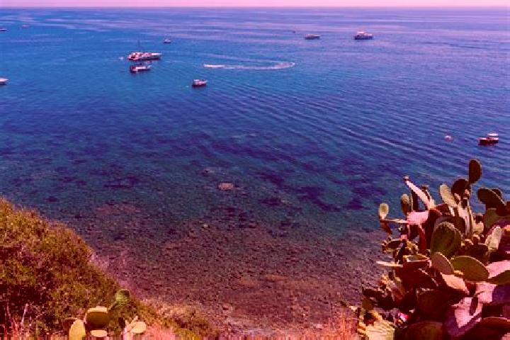 Sofia, 24 — Escort in Marina di Casal Velino, Italy