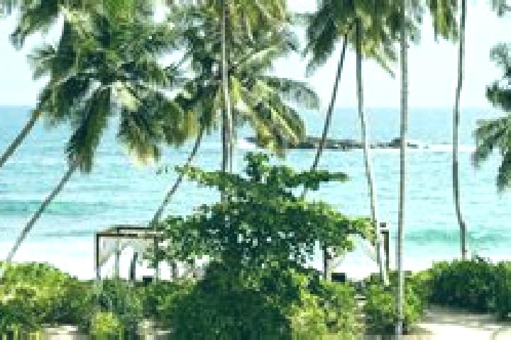 Sofia, 25 — Escort in Tangalle, Sri Lanka
