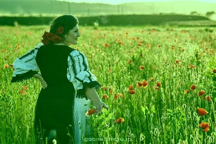 Sofia, 25 — Escort in Vintu de Jos, Romania