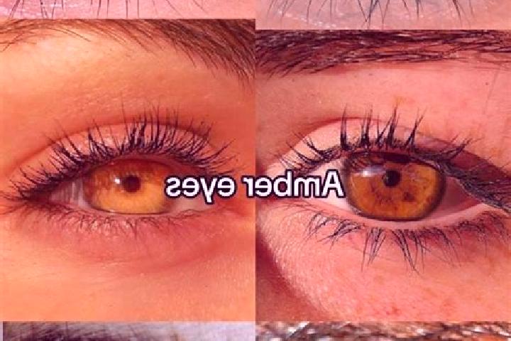 Sofia, 27, a chestnut amber-eyed slavic companion based in Ecuisses. Offering BDSM, Fetish, Party Girl. Available for incall and outcall, overnight bookings ...