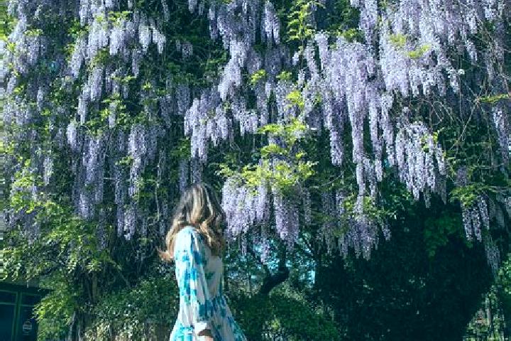Sofia, 27 — Escort in Schitu, Romania