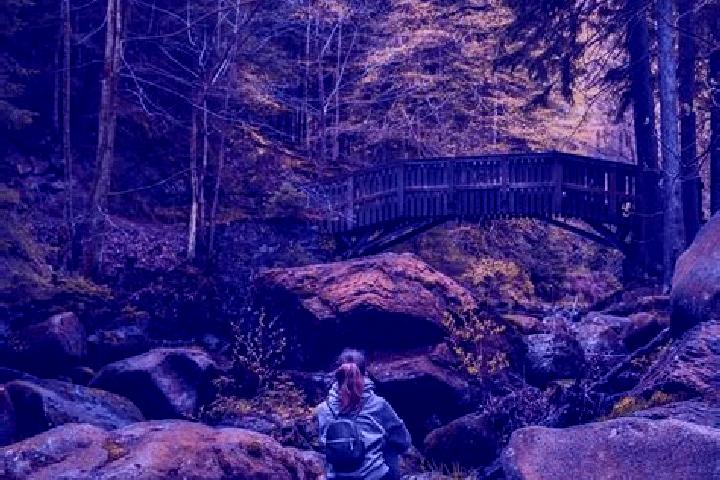 Sofia, 28 — Escort in Herzberg am Harz, Germany
