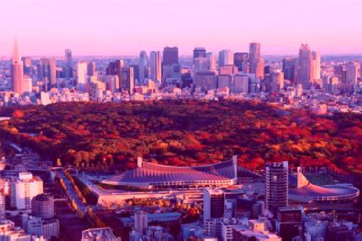 Sofia, 30 — Escort in Kanamachi, Japan