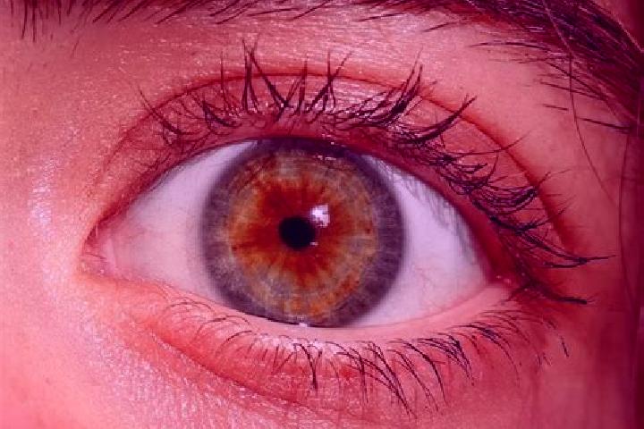 Sofia, 33, a red hazel-eyed mixed companion based in Licata. Offering Striptease, Domination, Tantra, CIM, Fetish. Available for incall and outcall, overnigh...
