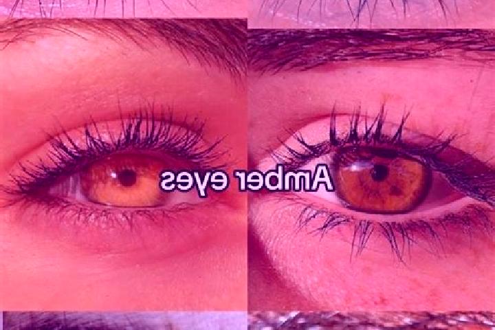 Sofia, 34, a brunette amber-eyed european companion based in Albenga. Offering Deep French Kissing, Massage, Domination. Available for incall and outcall, da...