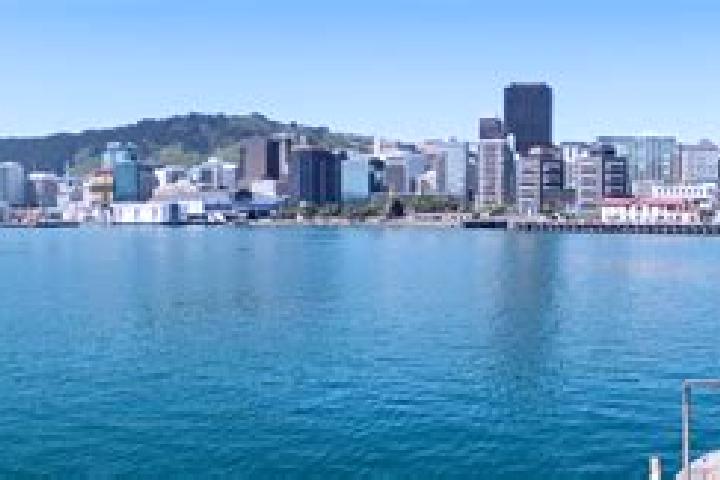 Sofia, 34 — Escort in Diamond Harbour, New Zealand