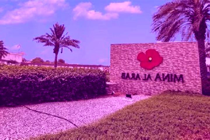 Sofia, 35 — Escort in Al Arimah, Syria