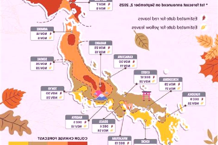 Sofia, 35 — Escort in Wajima, Japan