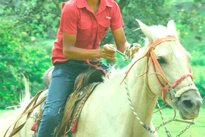 Sofia, 36 — Escort in Guaimaca, Honduras