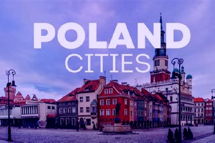 Sofia, 37 — Escort in Babimost, Poland