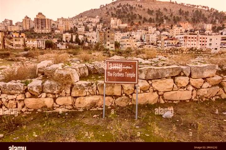 Sofia, 39 — Escort in Balatah, Palestine