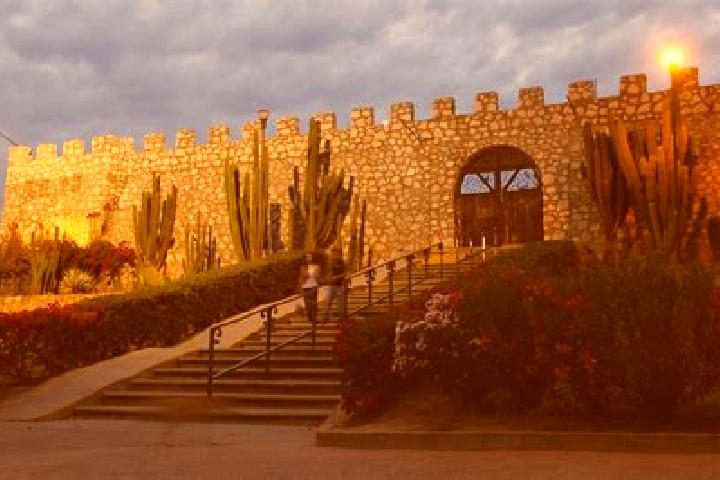 Sophia, 20 — Escort in El Fuerte de la Union, Mexico