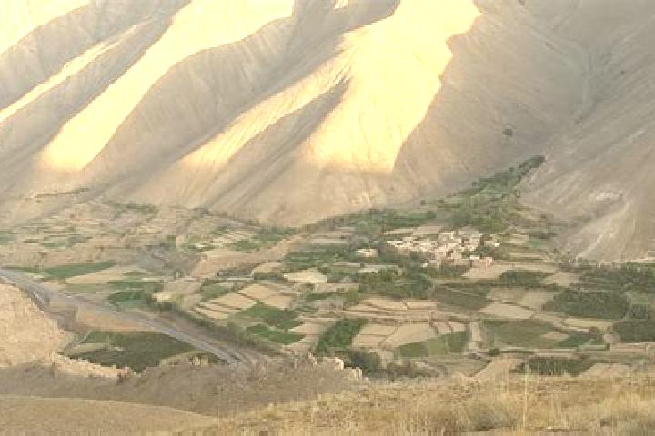 Sophia, 20 — Escort in Jalrez, Afghanistan