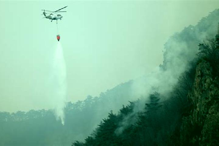 Sophia, 21 — Escort in Cheongsong gun, South Korea