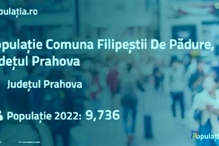 Sophia, 21 — Escort in Filipestii de Padure, Romania