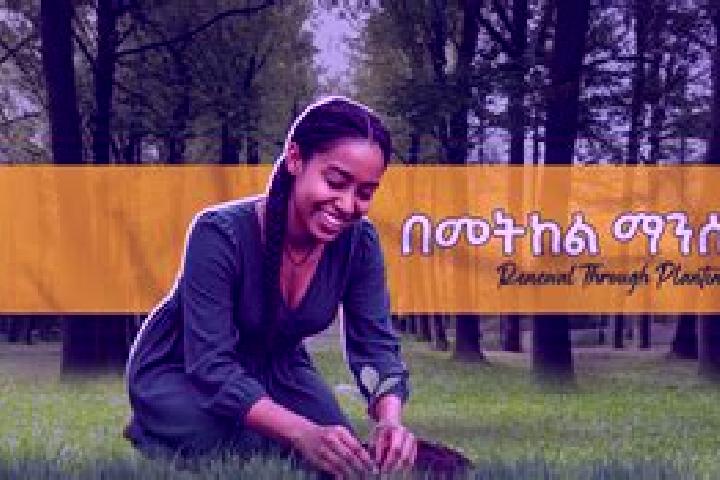 Sophia, 21 — Escort in Hirna, Ethiopia