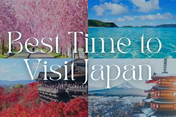 Sophia, 22 — Escort in Kamiigusa, Japan