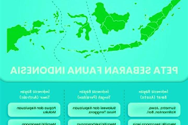 Sophia, 22 — Escort in Kebon Tengah, Indonesia