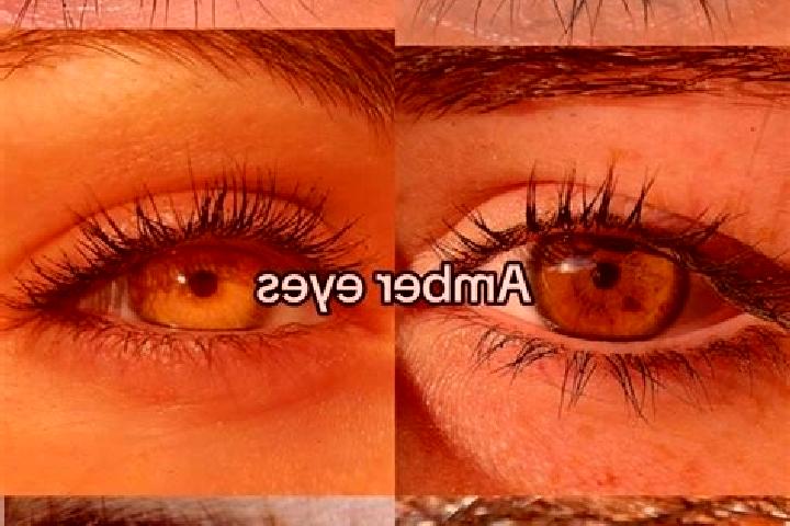 Sophia, 23, a chestnut amber-eyed european companion based in Callantsoog. Offering Massage, Party Girl, Erotic Massage, Fetish. Available for incall and out...