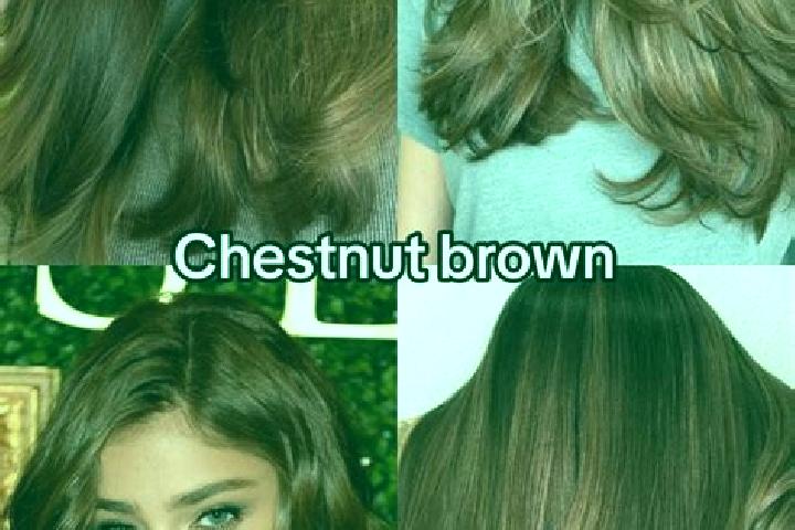 Sophia, 23, a chestnut dark-eyed caucasian companion based in Ourilandia do Norte. Offering Massage, CIM. Available for incall and outcall, day and evening d...