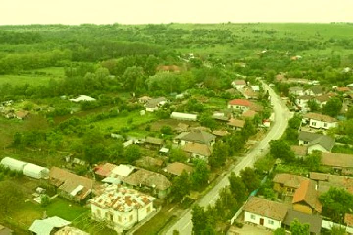 Sophia, 23 — Escort in Varvoru de Jos, Romania