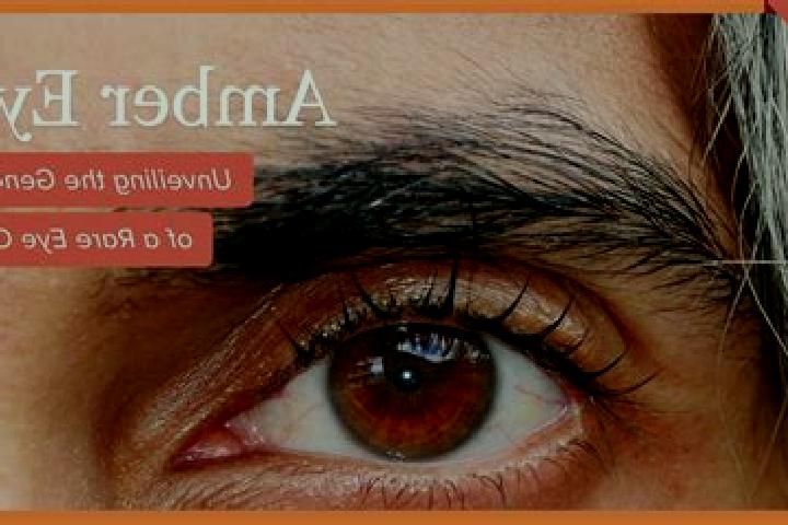 Sophia, 25, a red amber-eyed ebony companion based in Ungureni. Offering BDSM, Party Girl, Travel Companion, Prostate Massage. Available for incall and outca...
